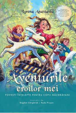 Copertă produs Aventurile eroilor mei