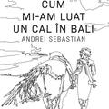 Copertă produs Cum mi-am luat un cal &icirc;n Bali - gallery small 