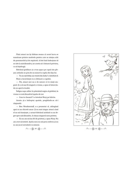 Copertă produs Grădina secretă - cu folio și canturi ilustrate - gallery big 4