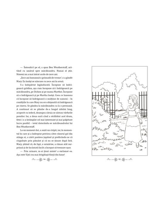 Copertă produs Grădina secretă - cu folio și canturi ilustrate - gallery big 5