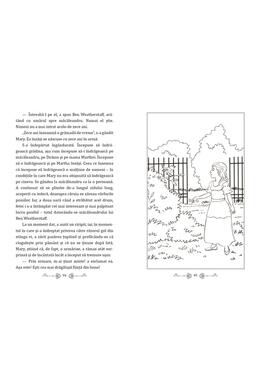 Copertă produs Grădina secretă - cu folio și canturi ilustrate