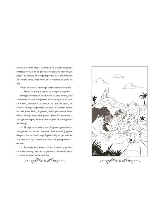 Copertă produs Cartea Junglei - cu folio și canturi ilustrate - gallery big 3