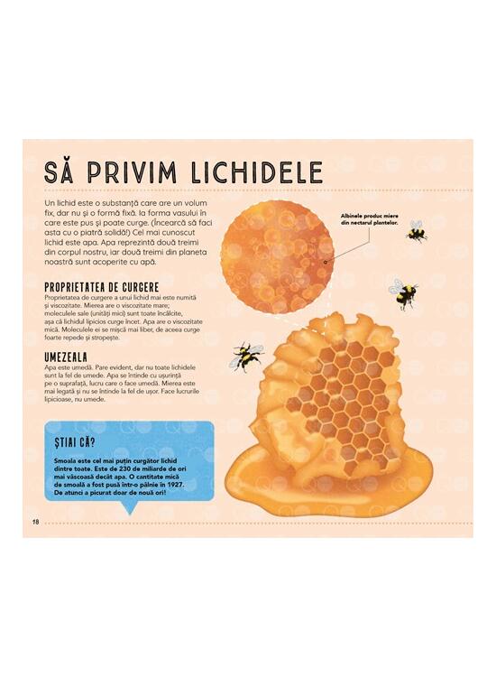 Copertă produs Lumea văzută prin microscop - gallery big 8