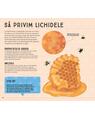 Copertă produs Lumea văzută prin microscop - thumb 8