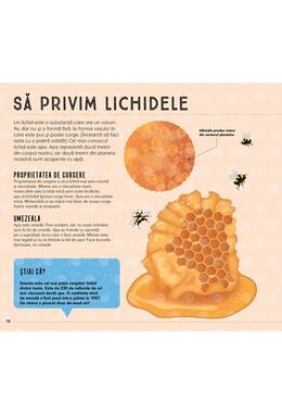 Copertă produs Lumea văzută prin microscop