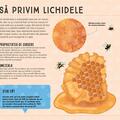 Copertă produs Lumea văzută prin microscop - gallery small 