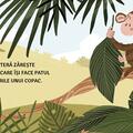 Copertă produs Povești cu sunete - Jungla - gallery small 