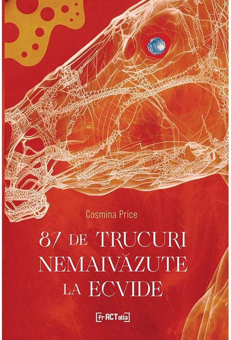 Copertă produs 87 de trucuri nemaivăzute la ecvide