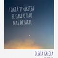 Copertă produs Toată tinerețea pe care o dau mai departe - gallery small 