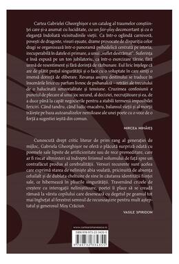 Copertă produs Văduva plătește dublu