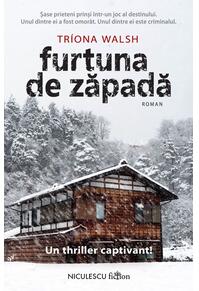 Copertă produs Furtuna de zăpadă
