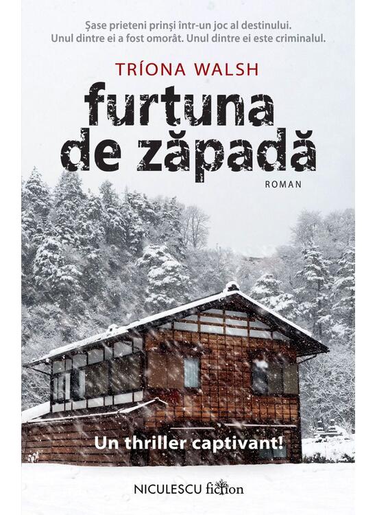 Copertă produs Furtuna de zăpadă - gallery big 1