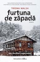 Furtuna de zăpadă
