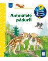 Copertă produs Animalele pădurii - thumb 1