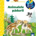 Copertă produs Animalele pădurii - gallery small 