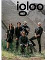 Copertă produs Igloo 223 / Profil de arhitect: C733 / Decembrie 2024 &ndash; Ianuarie 2025 - thumb 1