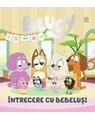 Copertă produs Bluey - &Icirc;ntrecere cu bebeluși - thumb 1