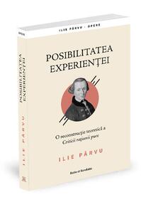 Copertă produs Posibilitatea experienței