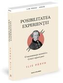 Posibilitatea experienței