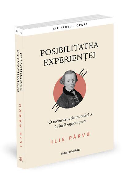 Posibilitatea experienței