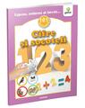 Copertă produs Cifre şi socoteli - thumb 1