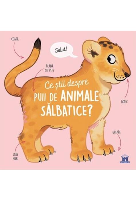 Copertă produs Ce știi despre puii de animale sălbatice?