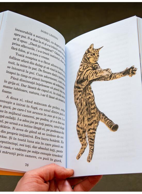 Copertă produs Despre pisici - gallery big 4