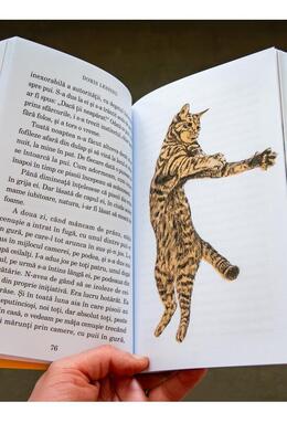 Copertă produs Despre pisici