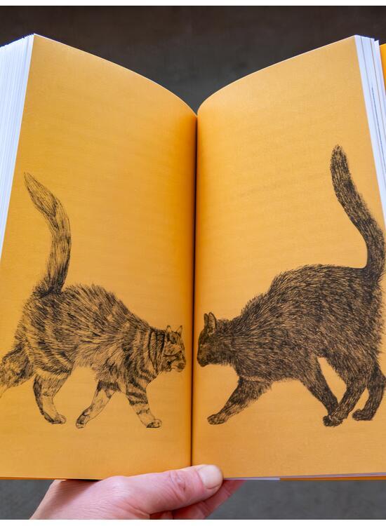 Copertă produs Despre pisici - gallery big 5