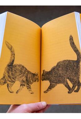 Copertă produs Despre pisici