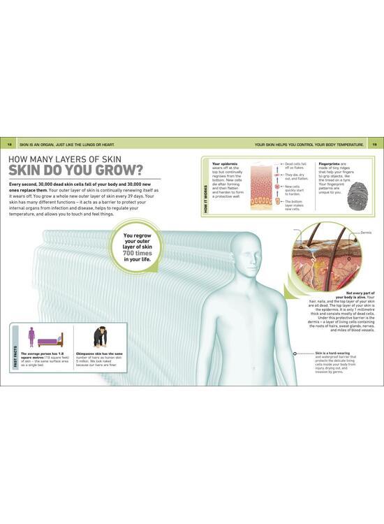 Copertă produs It Can't Be True! Human Body! - gallery big 3