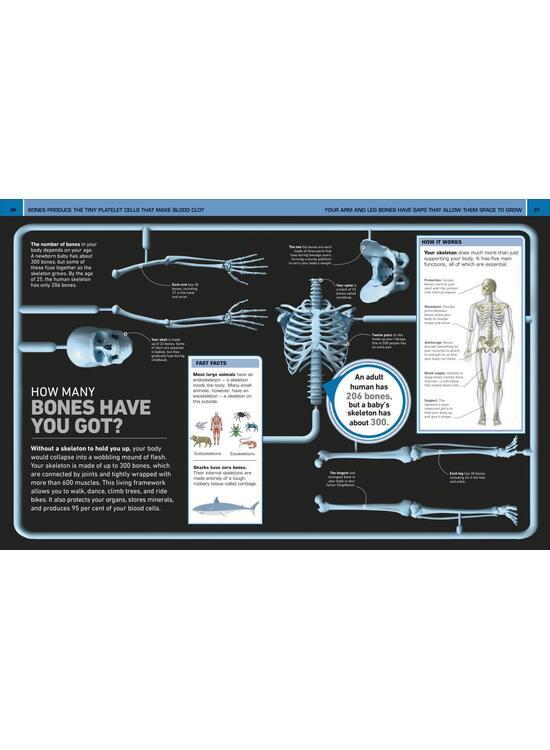 Copertă produs It Can't Be True! Human Body! - gallery big 5