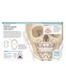 Copertă produs It Can't Be True! Human Body! - thumb 7