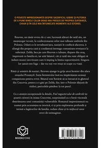 Copertă produs Fiul negustorului de umbrele