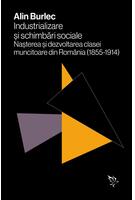 Imagine produs Industrializare și schimbări sociale