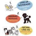 Copertă produs Limbajul cățeilor. Ediția a II-a - gallery small 