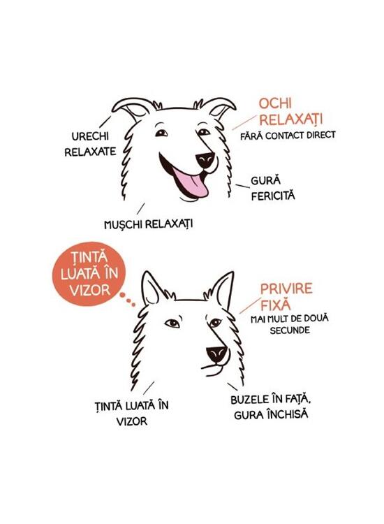 Copertă produs Limbajul cățeilor. Ediția a II-a - gallery big 4