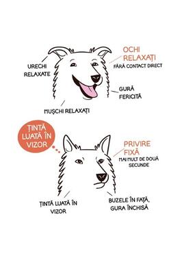 Copertă produs Limbajul cățeilor. Ediția a II-a