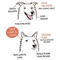 Copertă produs Limbajul cățeilor. Ediția a II-a - gallery small 