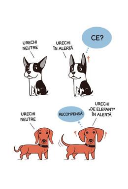 Copertă produs Limbajul cățeilor. Ediția a II-a