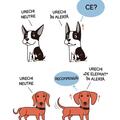 Copertă produs Limbajul cățeilor. Ediția a II-a - gallery small 