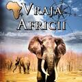 Copertă produs Vraja Africii (Vol. 1) - gallery small 