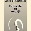 Copertă produs Poezile şi nopţi - gallery small 