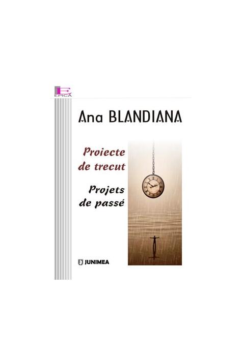 Copertă produs Proiecte de trecut / Projets de pass&eacute;