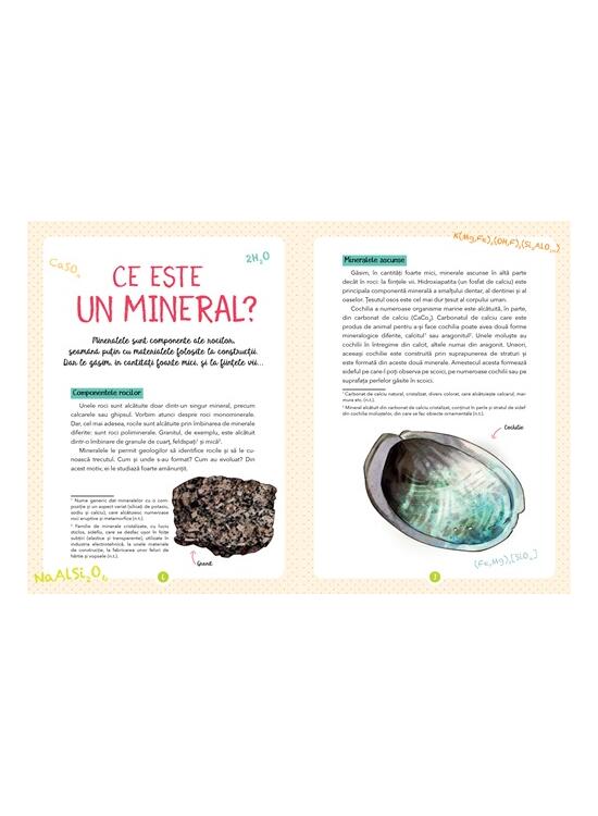 Copertă produs Micul meu ghid al naturii - Mineralele - gallery big 3