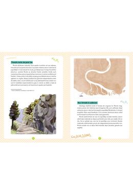 Copertă produs Micul meu ghid al naturii - Mineralele
