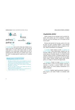 Copertă produs Succesul școlar