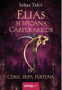 Copertă produs Cerul după furtună (Vol. 4) - HC