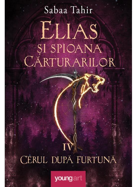 Copertă produs Cerul după furtună (Vol. 4) - gallery big 1