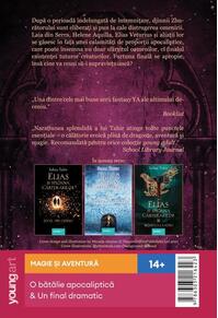 Copertă produs Cerul după furtună (Vol. 4) - HC